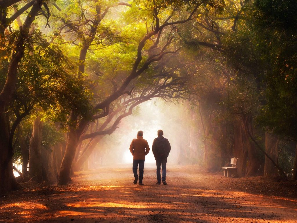 BASSCARE Being There Value