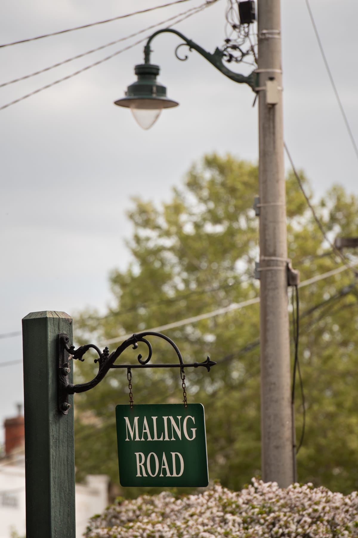 Programs for Younger People in Canterbury